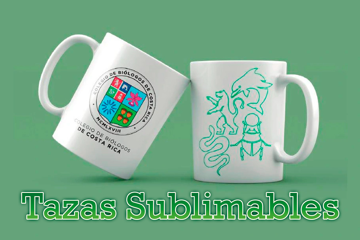 tazas
